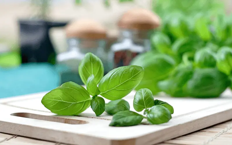 Basil on a chopping board