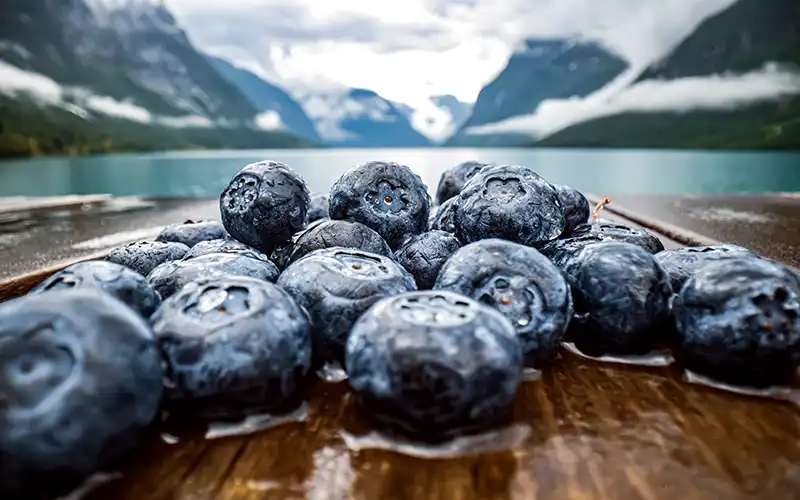 blueberries support memory, brain health and healthy ageing