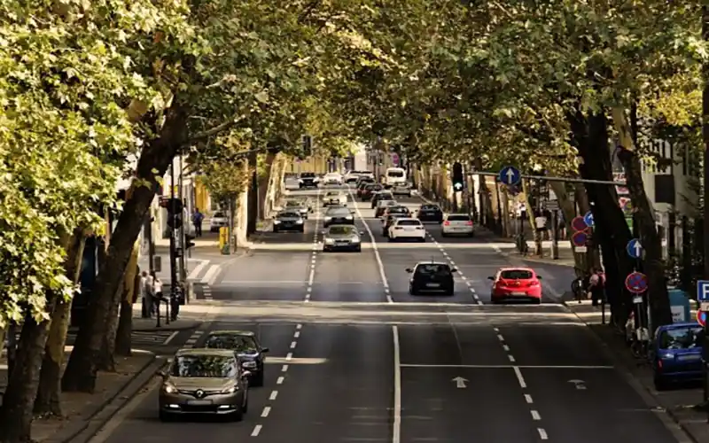 Cars driving on tree-lined city street in Spain during daytime