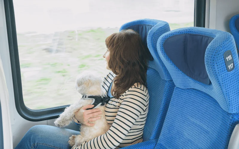 Woman traveling on train with her small dog looking out the window in Spain