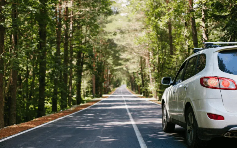 White SUV driving along scenic forest road in Spain