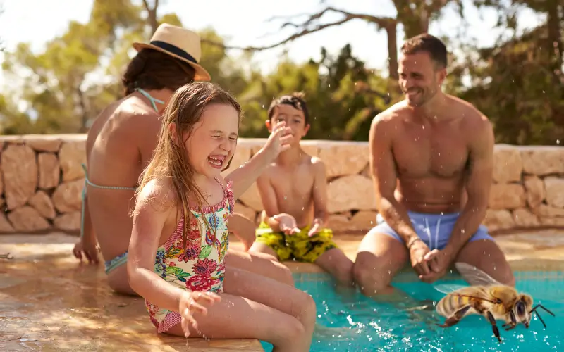 Family sitting on the edge of a swimming pool with a big bee in the foreground