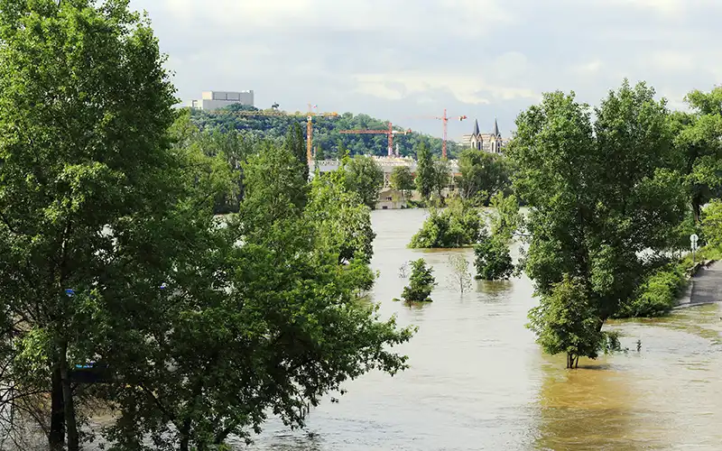 malaga plains flooded