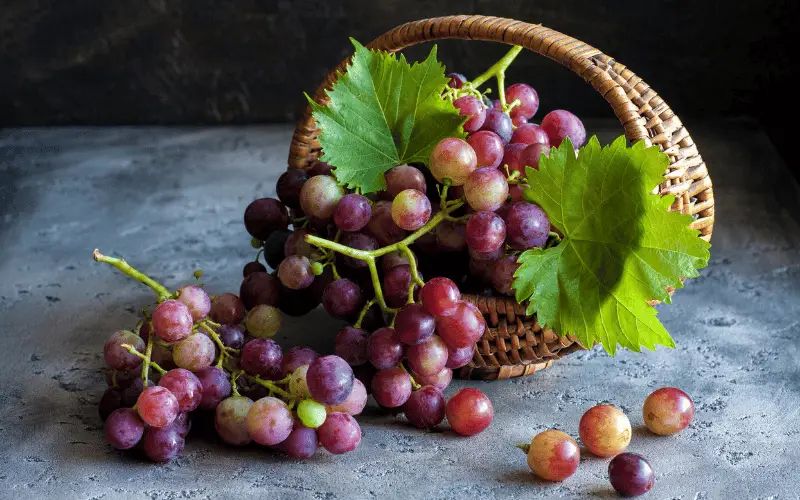Fresh red grapes in a wicker basket with green leaves on a rustic stone surface