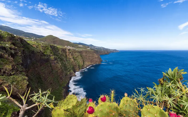 Scenic view of La Palma shoreline in the Canary Islands with cliffs, ocean, and cactus plants