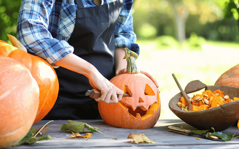The Halloween Superfood: Exploring the Nutritional Bounty Of Pumpkins ...