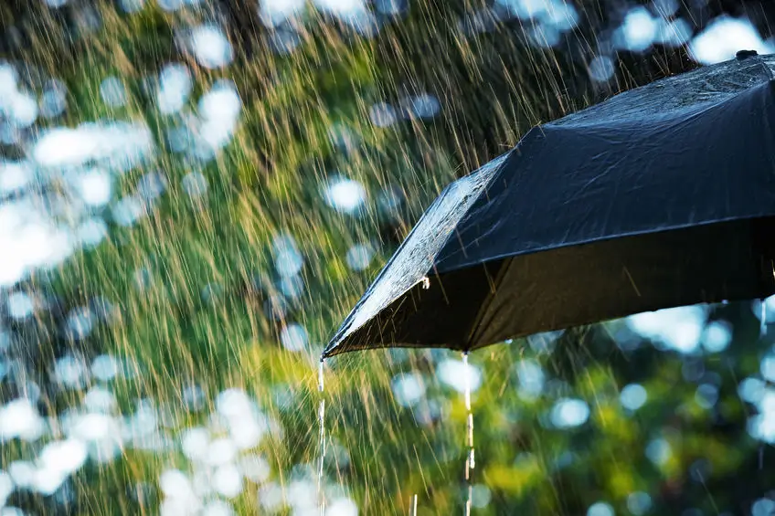 Black umbrella in the rain