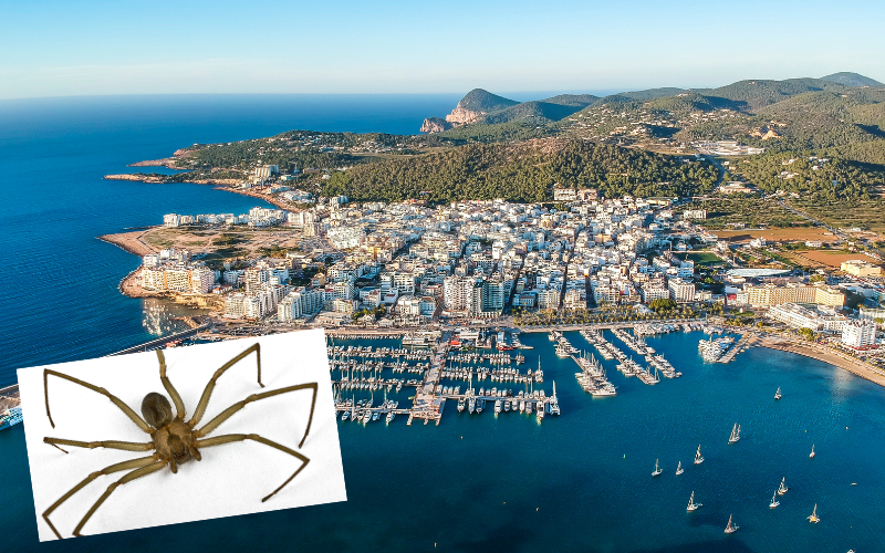 San Antonia Ibiza