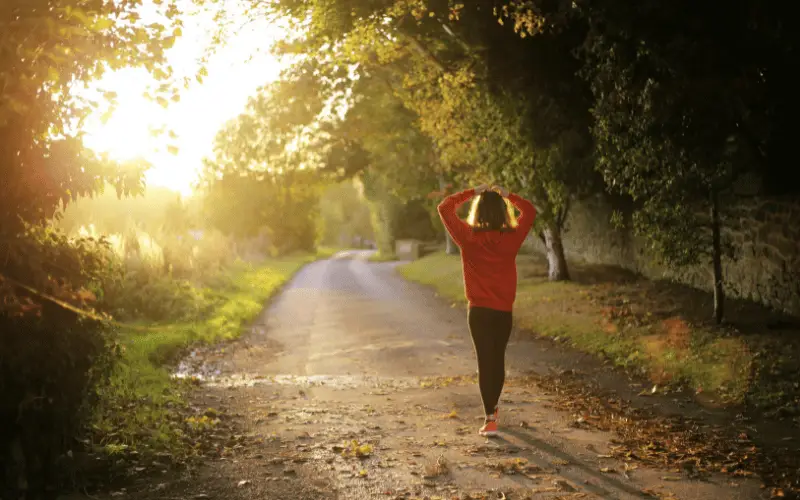 Person walking alone on a quiet path surrounded by trees during a peaceful morning