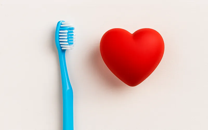 Toothbrush and red heart symbolising the connection between oral hygiene and heart health