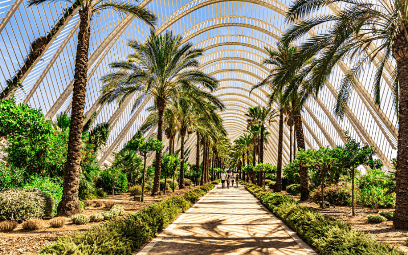 Park in Valencia, Spain